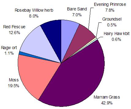 Pie Chart