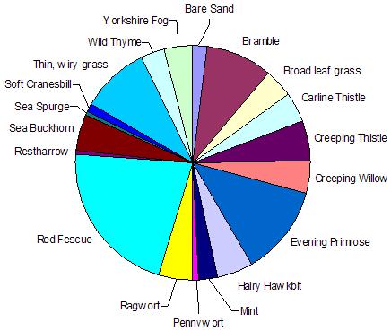 Pie Chart 2